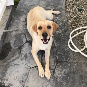 Meet your Posher, Laureen